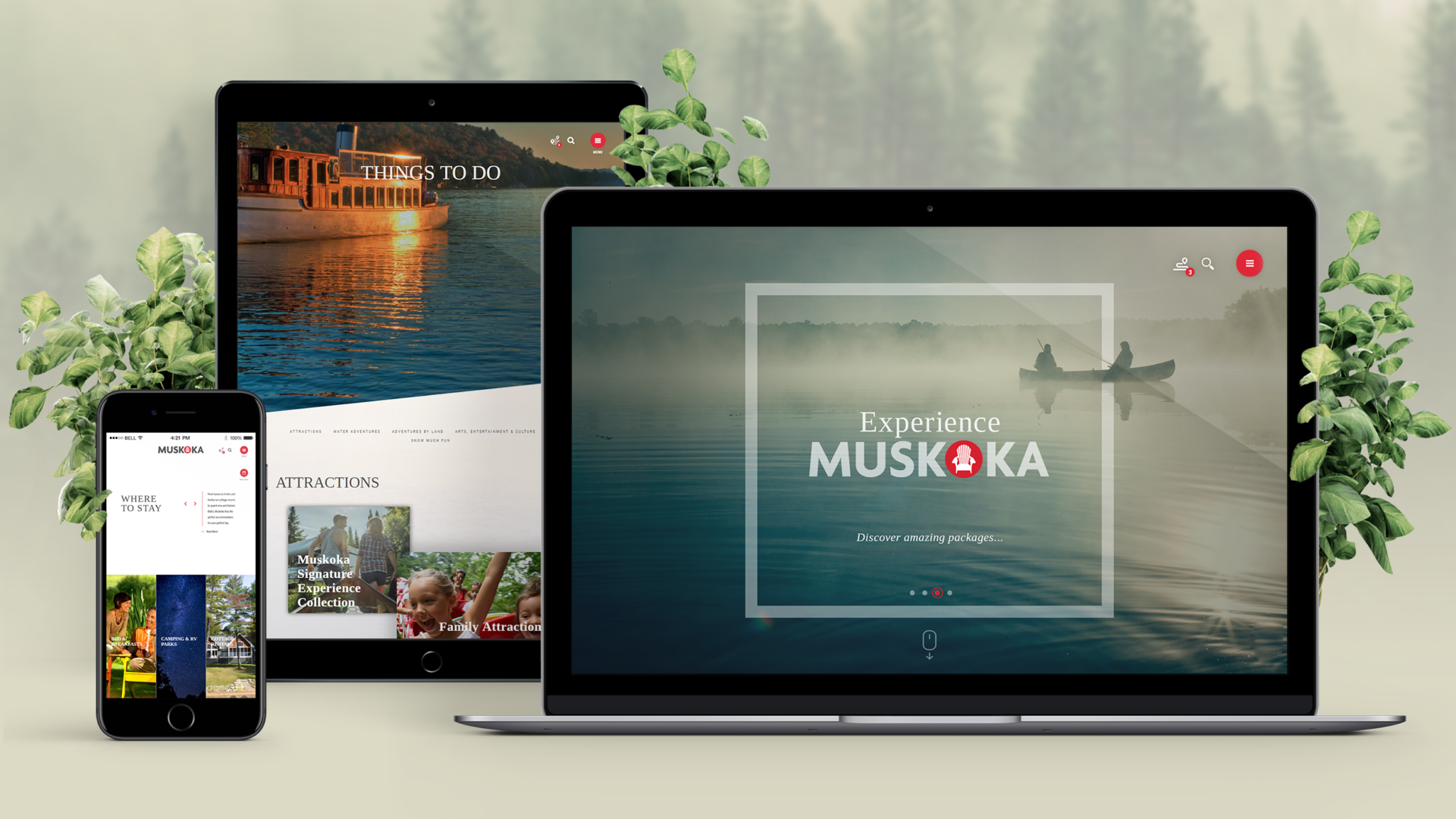 tourism website design and development