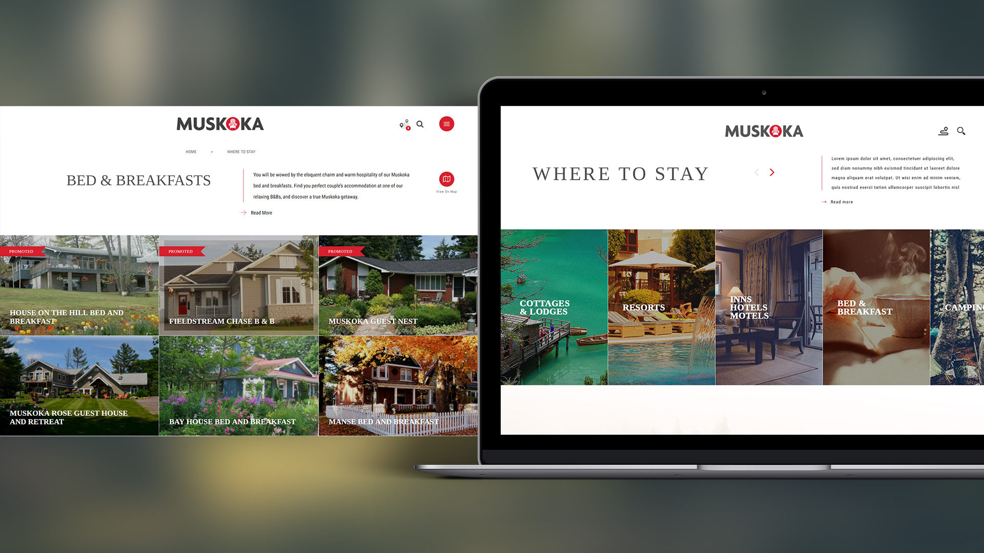 tourism web design