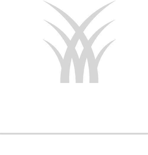 AGL Grass